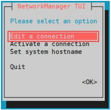 Главное окно nmtui